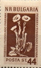 [BC-914/7] Definitives - Medicinal plants.