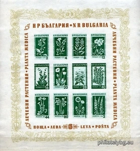 [BC-928] Medicinal plants - block.