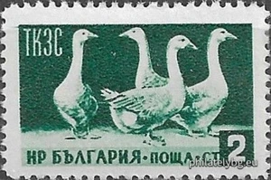 [BC-967/0] Definitives - Economic propaganda. TKZS.