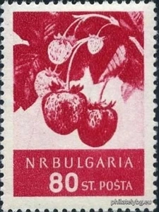 Definitive - Fruits II.