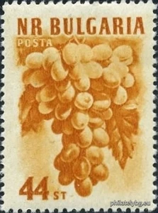 Definitive - Fruits II edition.