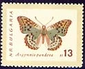 [BC-1396/03] Butterflies.