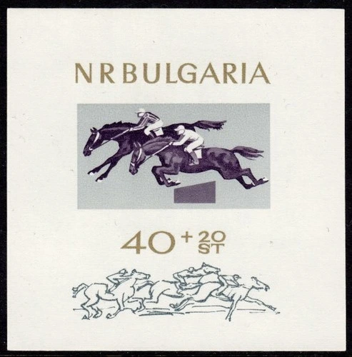 Equestrian sports, block.