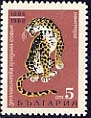 [BC-1884/89] Fauna - 80 years Sofia Zoo.