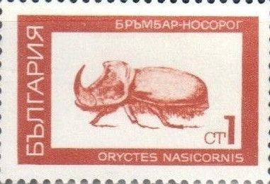 Definitive. Insects.