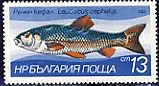 [BC-3203/08] Fauna - Freshwater fish.