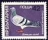 Fauna - Pigeons.