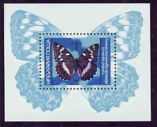 [BC-3363] Butterflies, block.