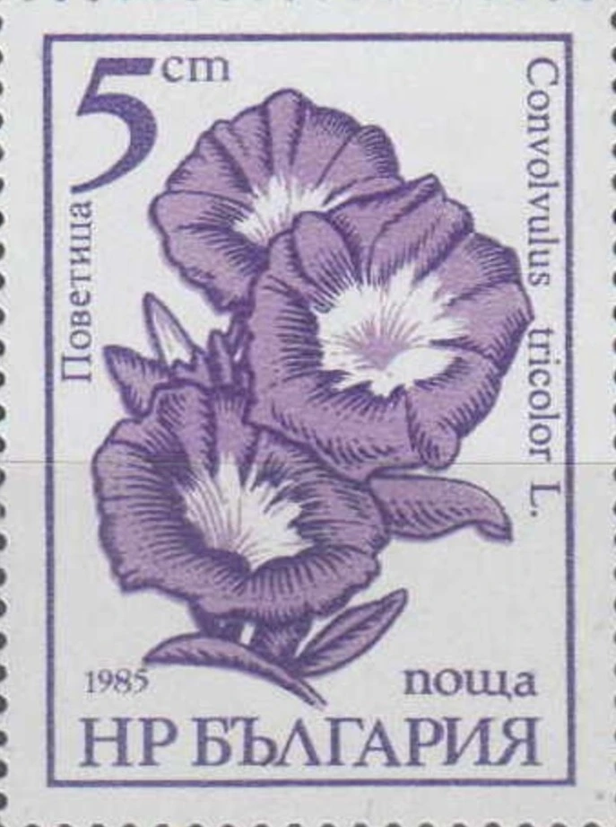 [BC-3445/48] Definitive. Garden Flowers.