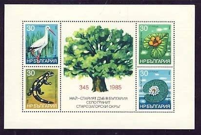 [BC-3528] Nature and Environment Protection, block.