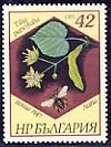 Bees and honey plants.