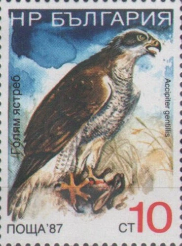 [BC-3680/85] Definitive - Birds.