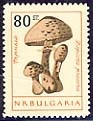 [BC-1315/22] Mushrooms, perforated.