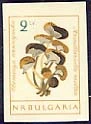 [BC-1323/30] Mushrooms, imperforate.