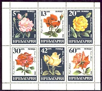 Flora - Bulgarian Rose. Sheet.