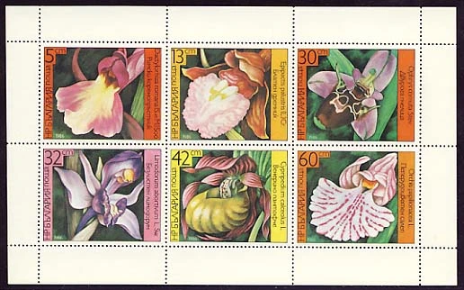 Flora - Orchids - sheet.