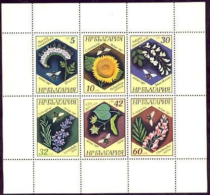 Bees and honey plants. Sheet.