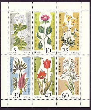 Flora - Plants threatened with extinction. Set in Sheet, type a.